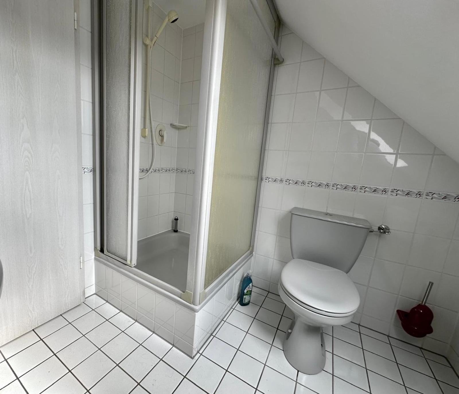 Ferienwohnung Sonnenschein Mit Kleinem Bauernhof Thale Buitenkant foto