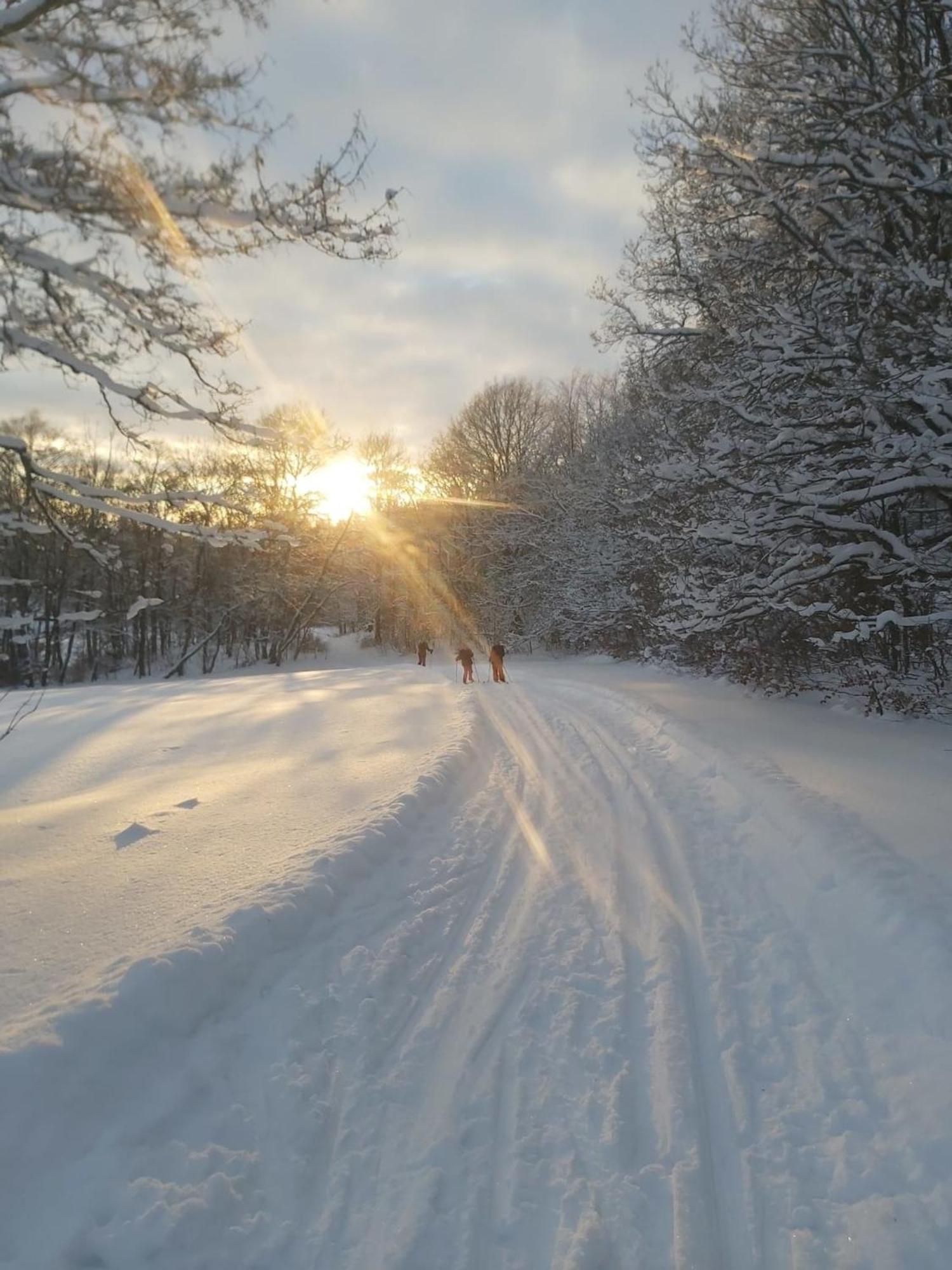 Ferienwohnung Sonnenschein Mit Kleinem Bauernhof Thale Buitenkant foto